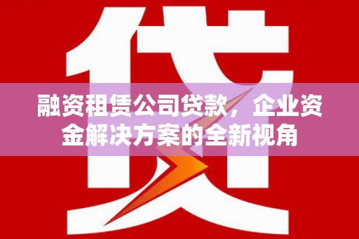 泌阳融资租赁公司贷款，企业资金解决方案的全新视角