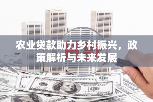 泌阳农业贷款助力乡村振兴，政策解析与未来发展
