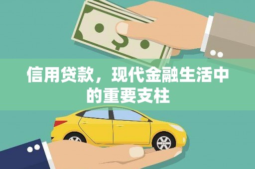 泌阳信用贷款，现代金融生活中的重要支柱