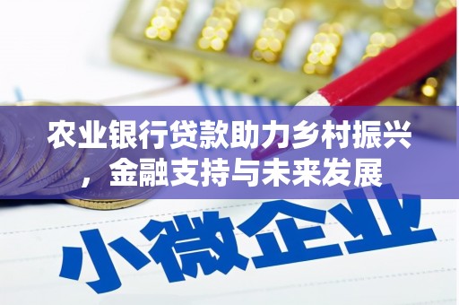 泌阳农业银行贷款助力乡村振兴，金融支持与未来发展