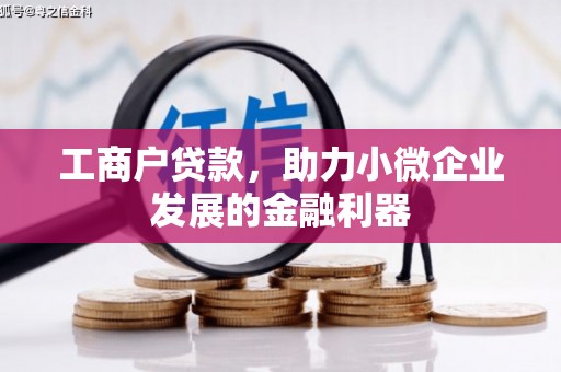 泌阳工商户贷款，助力小微企业发展的金融利器