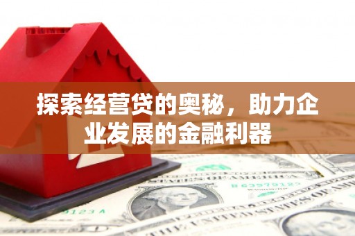 泌阳探索经营贷的奥秘，助力企业发展的金融利器