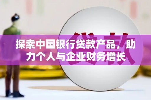 泌阳探索中国银行贷款产品，助力个人与企业财务增长
