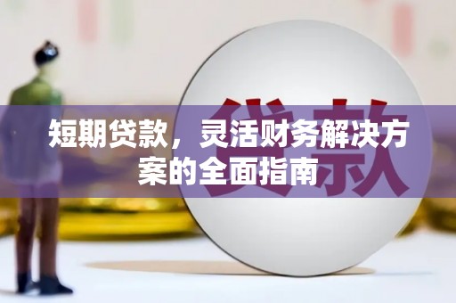 泌阳短期贷款，灵活财务解决方案的全面指南