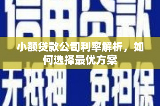 泌阳小额贷款公司利率解析，如何选择最优方案