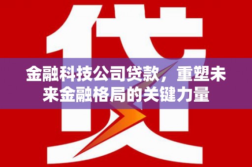 泌阳金融科技公司贷款，重塑未来金融格局的关键力量