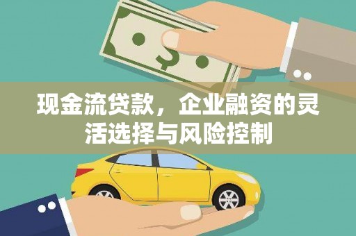 泌阳现金流贷款，企业融资的灵活选择与风险控制