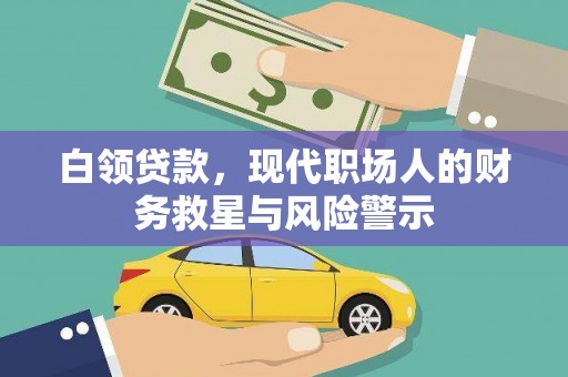 泌阳白领贷款，现代职场人的财务救星与风险警示