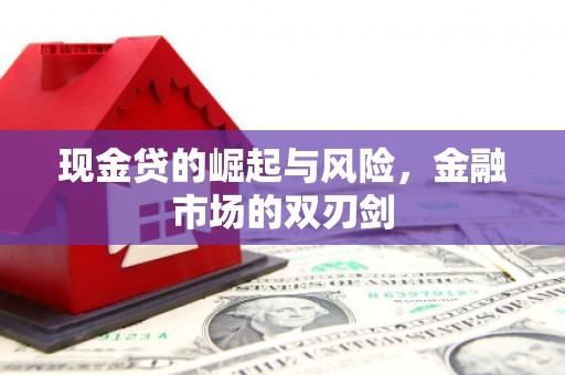 泌阳现金贷的崛起与风险，金融市场的双刃剑