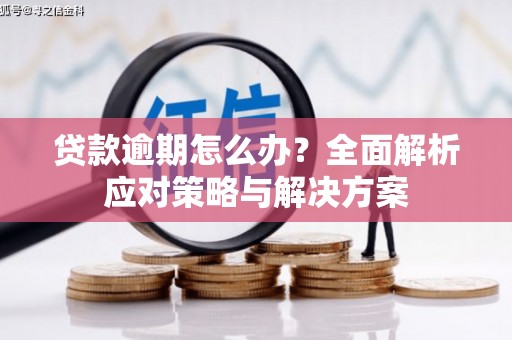 泌阳贷款逾期怎么办？全面解析应对策略与解决方案