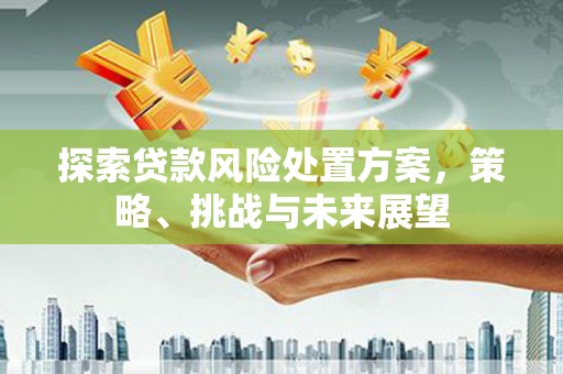 泌阳探索贷款风险处置方案，策略、挑战与未来展望