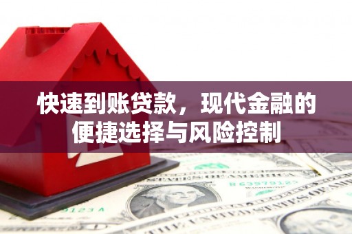 泌阳快速到账贷款，现代金融的便捷选择与风险控制