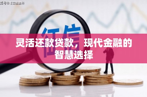 泌阳灵活还款贷款，现代金融的智慧选择