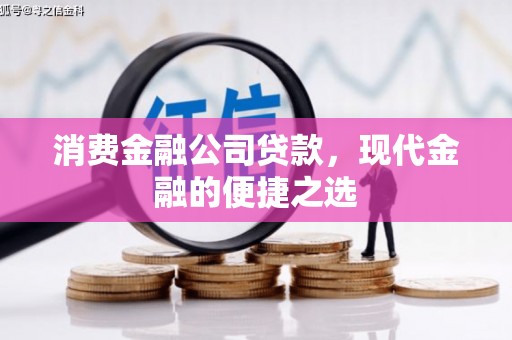 泌阳消费金融公司贷款，现代金融的便捷之选
