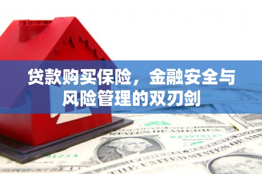 泌阳贷款购买保险，金融安全与风险管理的双刃剑