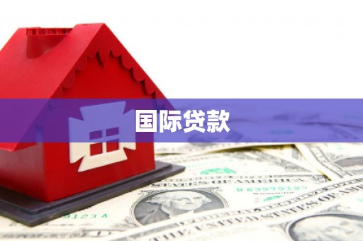 泌阳国际贷款