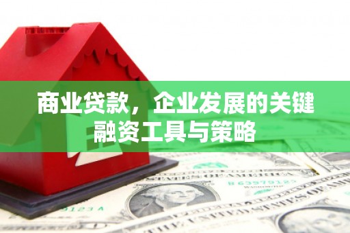 泌阳商业贷款，企业发展的关键融资工具与策略