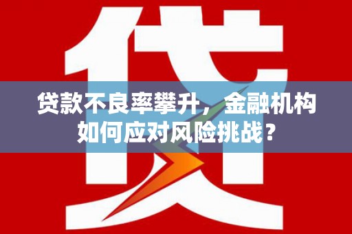 泌阳贷款不良率攀升，金融机构如何应对风险挑战？