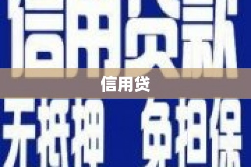 泌阳信用贷