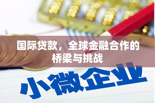 泌阳国际贷款，全球金融合作的桥梁与挑战