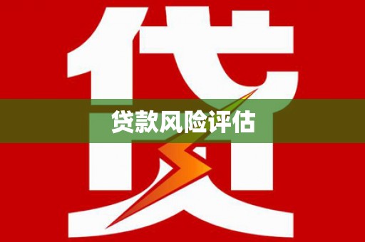 泌阳贷款风险评估