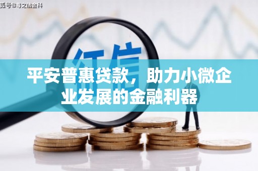泌阳平安普惠贷款，助力小微企业发展的金融利器