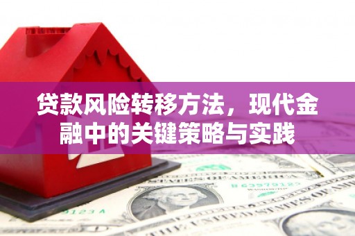 泌阳贷款风险转移方法，现代金融中的关键策略与实践