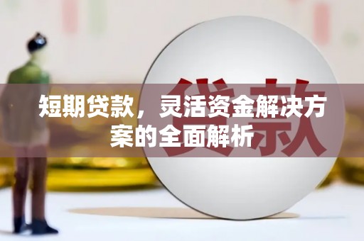 泌阳短期贷款，灵活资金解决方案的全面解析