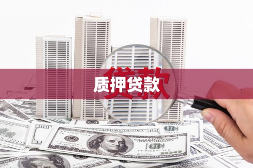 泌阳质押贷款