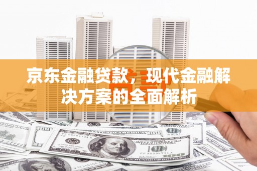 泌阳京东金融贷款，现代金融解决方案的全面解析
