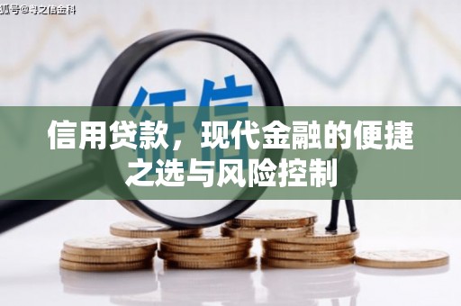 泌阳信用贷款，现代金融的便捷之选与风险控制