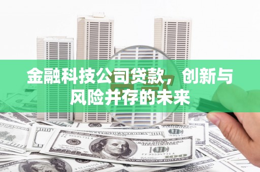 泌阳金融科技公司贷款，创新与风险并存的未来
