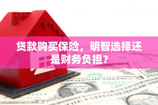 泌阳贷款购买保险，明智选择还是财务负担？