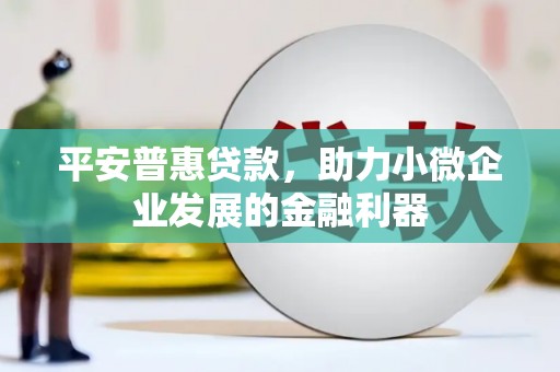 泌阳平安普惠贷款，助力小微企业发展的金融利器