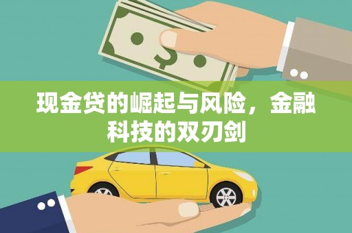 泌阳现金贷的崛起与风险，金融科技的双刃剑