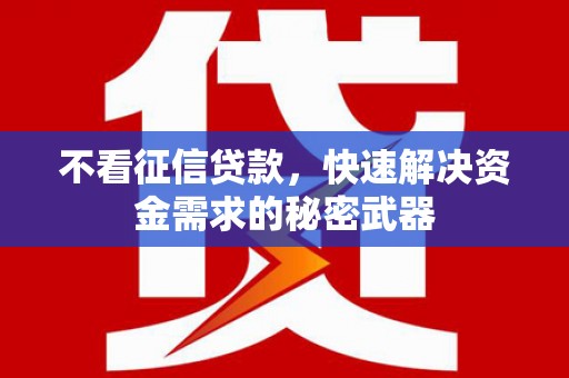 泌阳不看征信贷款，快速解决资金需求的秘密武器