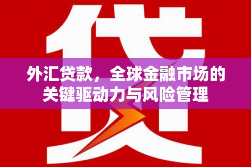 泌阳外汇贷款，全球金融市场的关键驱动力与风险管理