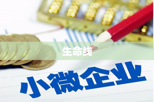 泌阳生命线