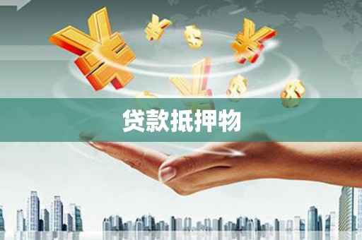 泌阳贷款抵押物