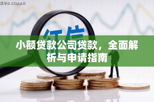 泌阳小额贷款公司贷款，全面解析与申请指南