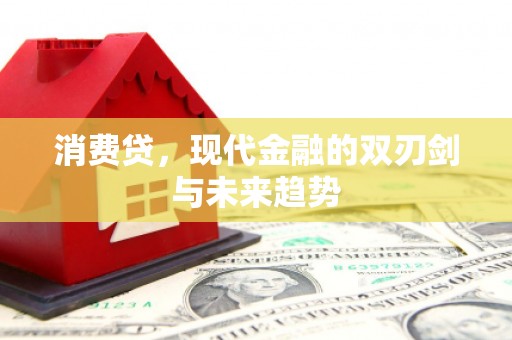 泌阳消费贷，现代金融的双刃剑与未来趋势
