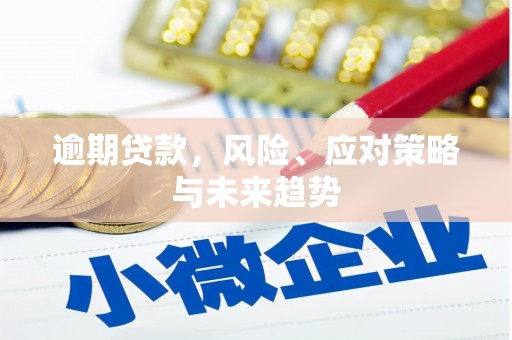 泌阳逾期贷款，风险、应对策略与未来趋势