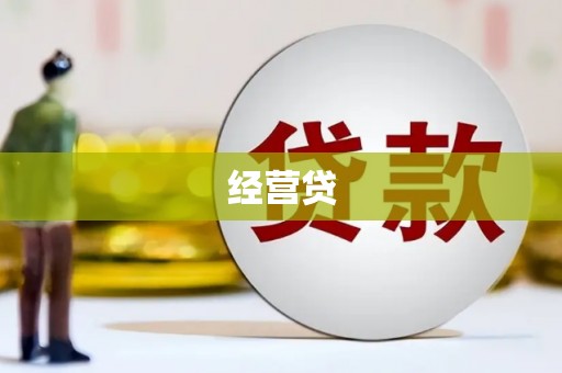 泌阳经营贷