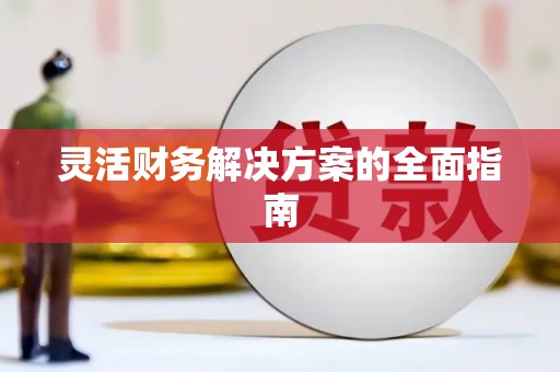 泌阳灵活财务解决方案的全面指南
