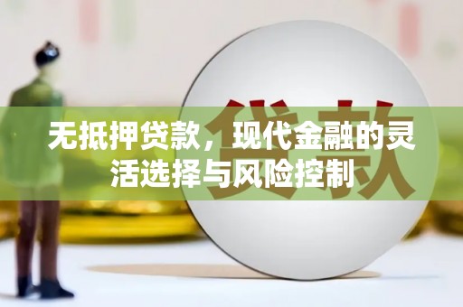 泌阳无抵押贷款，现代金融的灵活选择与风险控制