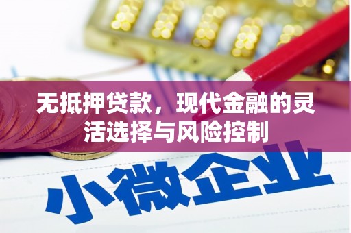 泌阳无抵押贷款，现代金融的灵活选择与风险控制