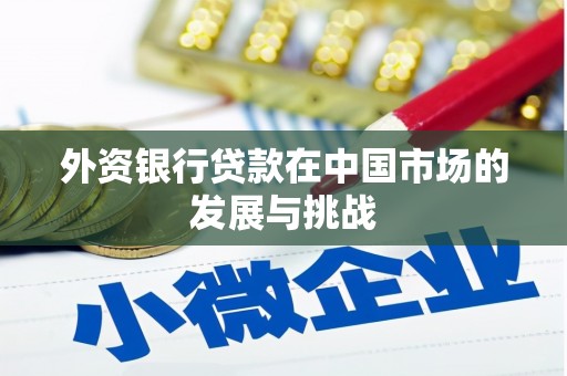 泌阳外资银行贷款在中国市场的发展与挑战