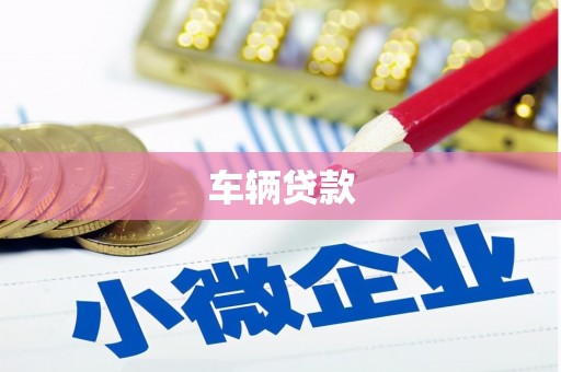 泌阳车辆贷款
