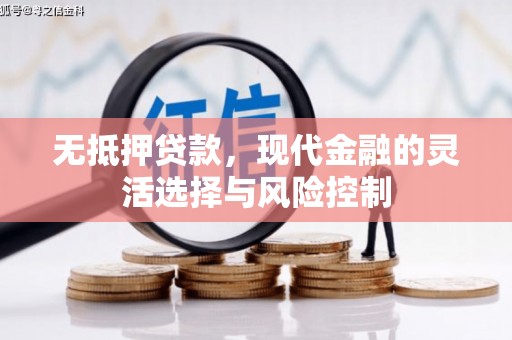 泌阳无抵押贷款，现代金融的灵活选择与风险控制
