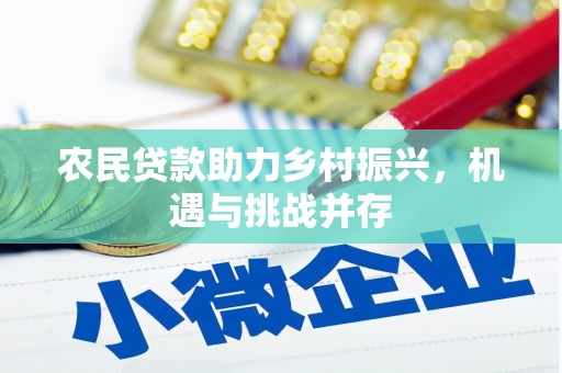 泌阳农民贷款助力乡村振兴，机遇与挑战并存